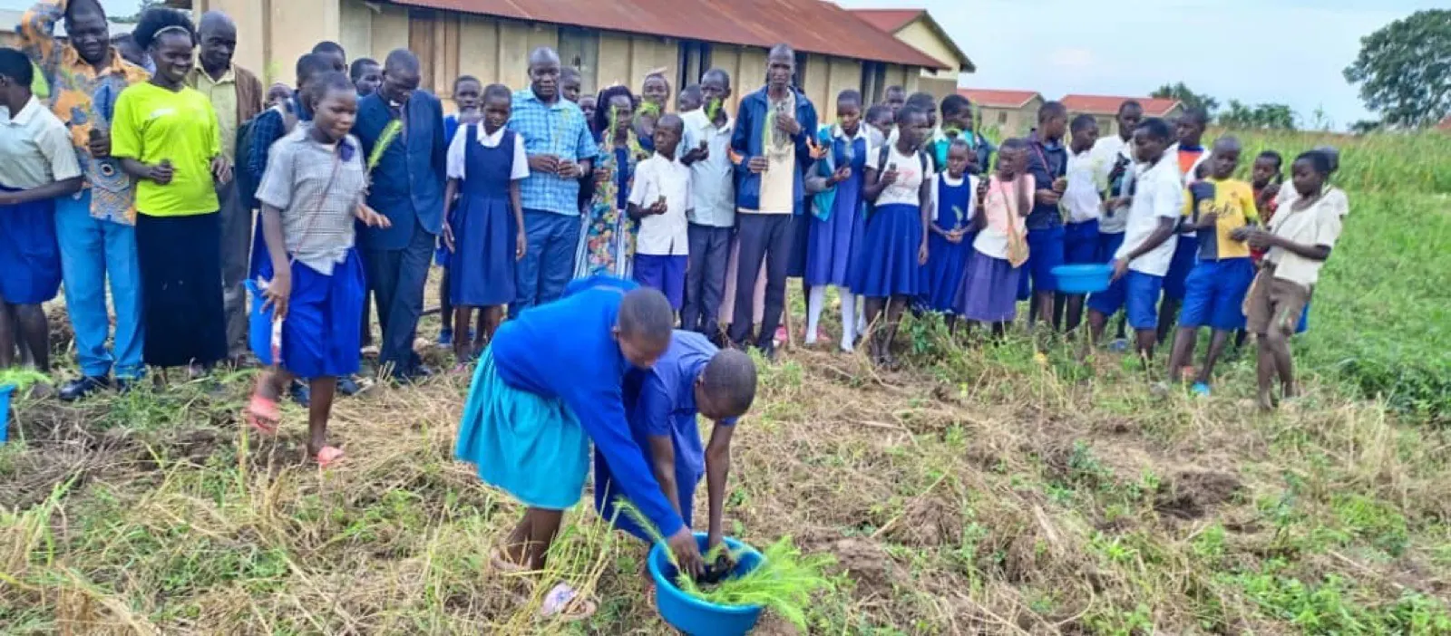 Tree planting with school pupils